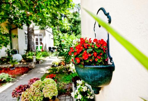Baden Cama Y Desayuno | Pension Margit