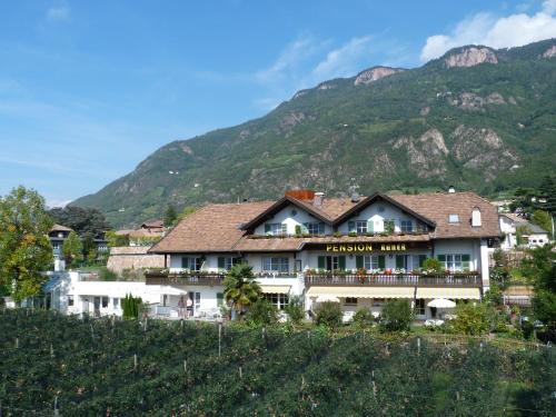Terlano Casa | Pension Runer
