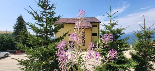 Novaci Casa | Pension Valea Mariei