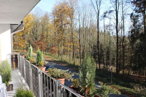 Mollseifen Casa | Pension Walddorf