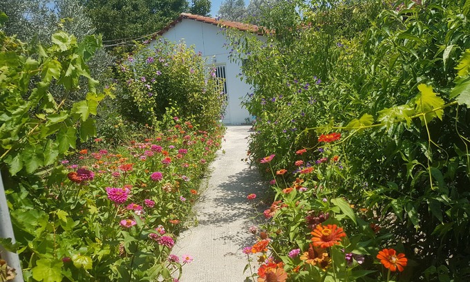 Kolymbia Casa | Pension Zoi