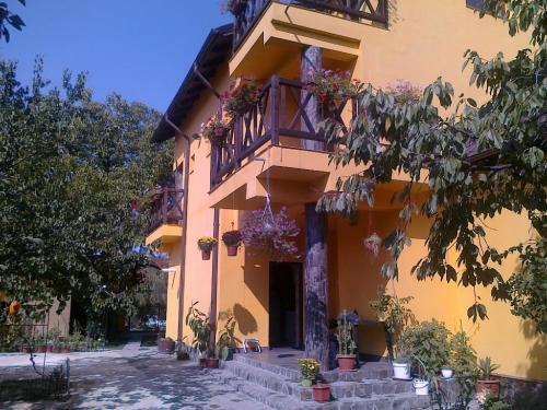 Tirgu Ocna Casa | Pensiunea Elena