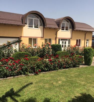 Cluj-Napoca Casa | Pensiunea Zbor 1