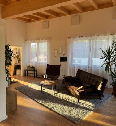 Vils Apartamento | Penthouse 17 Vils