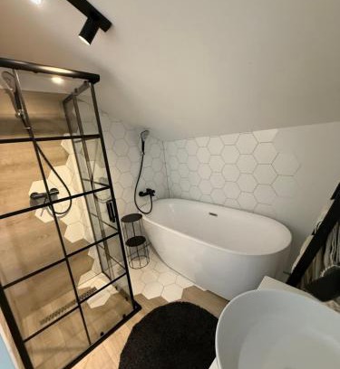 Bistrita Bargaului Apartamento | Penthouse Colibița