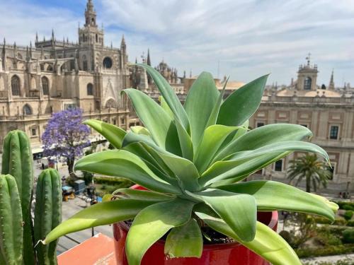El Arenal Apartamento | Penthouse in front Giralda