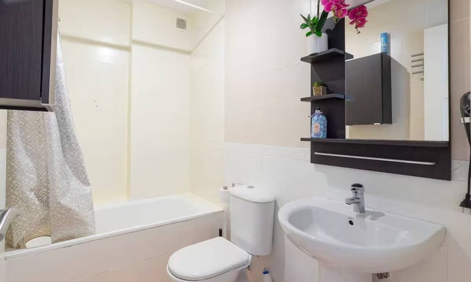 La Goleta Apartamento | Penthouse with large roof malaga center