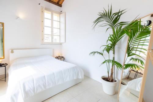 Historic Castle District Apartamento | Penthouse with Terrace in historic centre