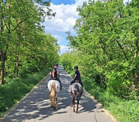 Lechovice Casa | Penzion Horse Farm Lechovice