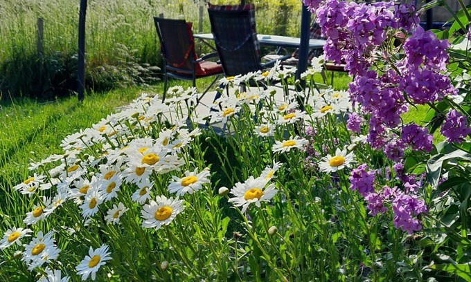 Nemojany Casa | Penzion mala farma
