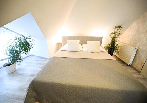 Trencin Casa | Penzion Pri Parku