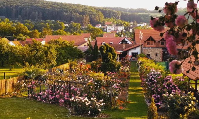Radejov Casa | penzion ROSETA