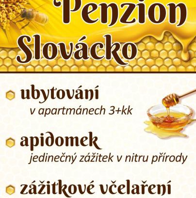 Ostrozska Nova Ves Apartamento | Penzion Slovácko 2