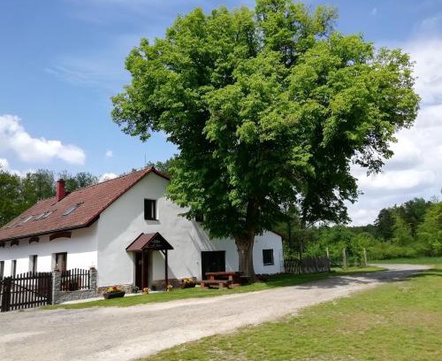 Velka Turna Apartamento | Penzion Starobor