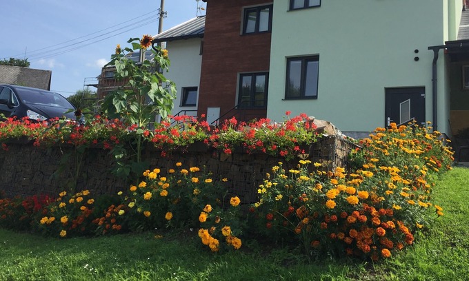 Stare Mesto Apartamento | Penzion v podhůří Králického Sněžníku.