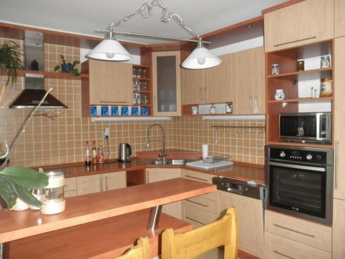 Zlin Apartamento | PENZION VLASTA
