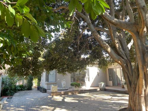 Houghton Estate Casa | PepperTree Guest House