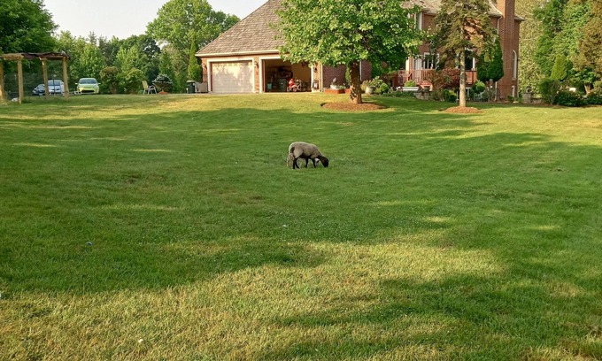 Barrington Casa | Perfect Family Getaway: Spacious 5BR Home in Barrington