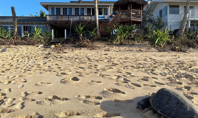 Haleiwa Apartamento | PERFECT LOCATION BEACH FRONT INQUIRE special discounts reduced rates for october