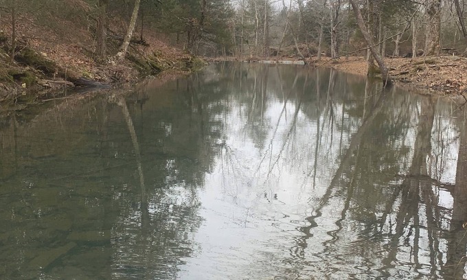 Myrtle Alquiler De RV | Perfect RV campground in Ravenden Springs for a peaceful getaway