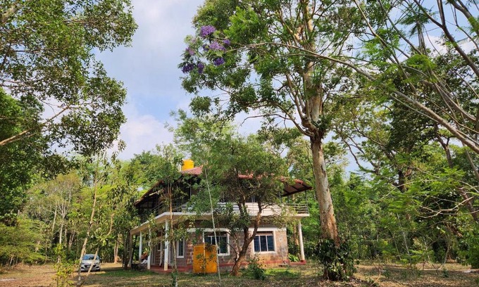 Kushalnagar Casa | Periwinkle Place