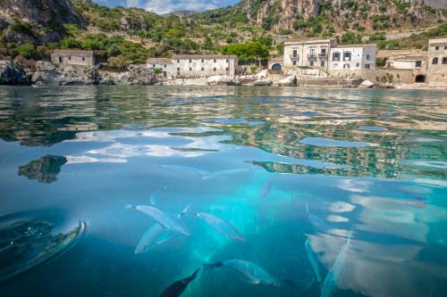 Castelluzzo Apartamento | Perla di Mare Appartamenti