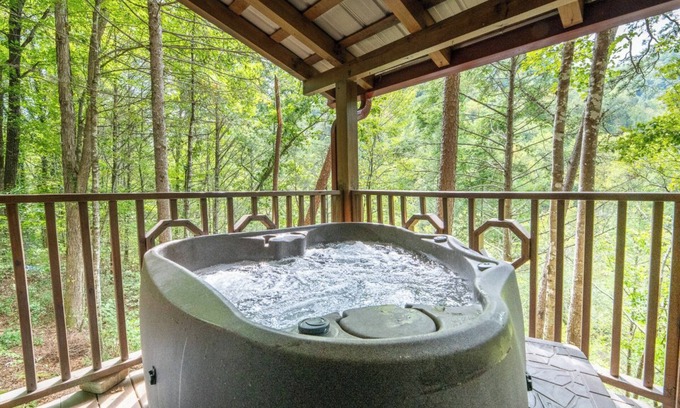 Townsend Cabina | Pet-friendly 1BD Cabin w/ Hot Tub! Fire Pit + BBQ!