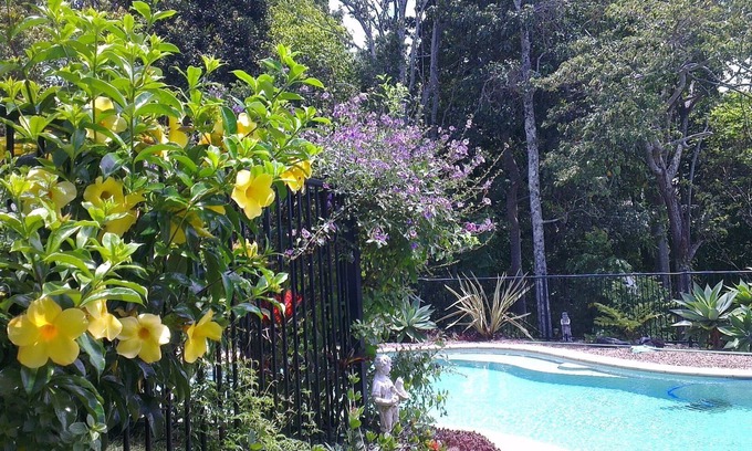 Kings Forest Apartamento | Pet Friendly Accommodation Kingslciff Queen size, selva tropical y terrenos para mascotas