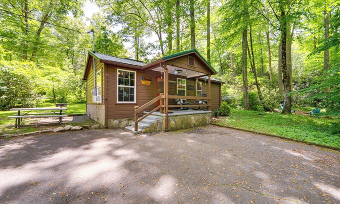 Maggie Valley Cabina | Pet-Friendly Creekside Cabin w/ Pool Access!