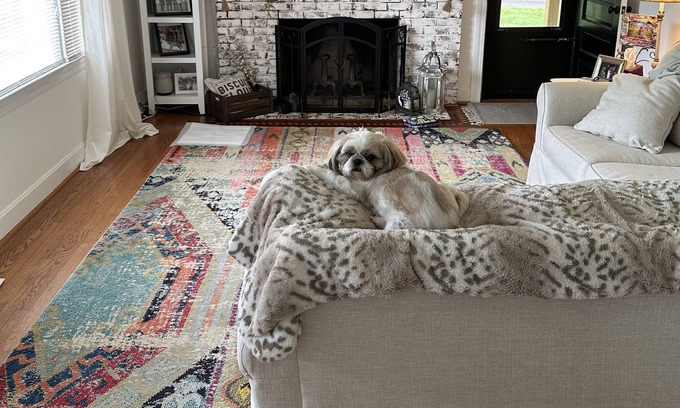 Ararat Casa | Pet friendly, Feel at home farmhouse with large deck. 15 minutes to downtown.