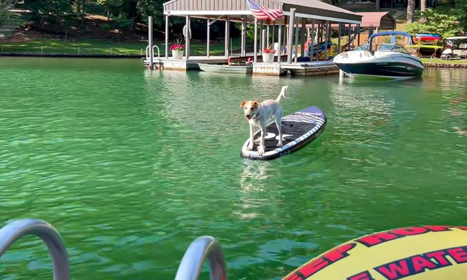Huddleston Casa | Relaxing lakefront escape with hot tub, dog-friendly fenced yard, dock & kayaks