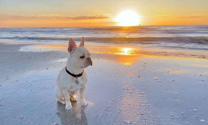 Crystal Beach Casa | Pet Friendly w/ Fenced Yard*Steps to the Beach!