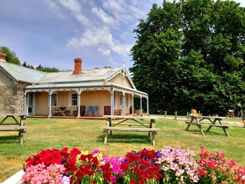 Waipiata Cabina | Peter's Farm Lodge