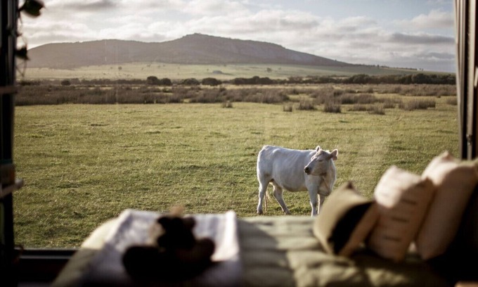 Merivale Cabina | Peter the Tiny Cabin in Esperance