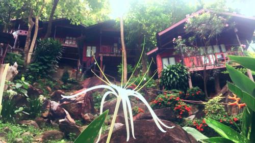 Ko Phi Phi Complejo | Phi Phi Green Hill Resort