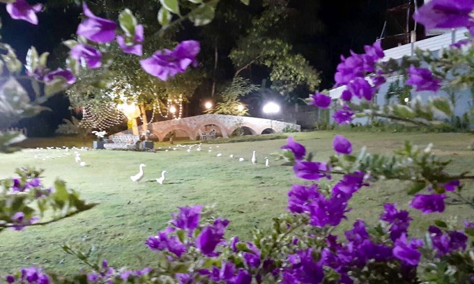 Wichit Hotel | Phuket Nonnita Boutique Resort