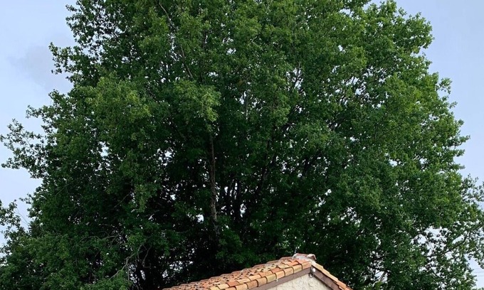 Juignac Chalet De Esquí | Piaf at Bassinaud