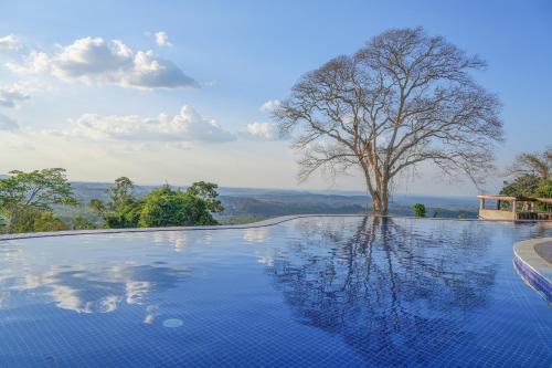 Sen Monorom Cabina | PIDA COFFEE FARM LODGE