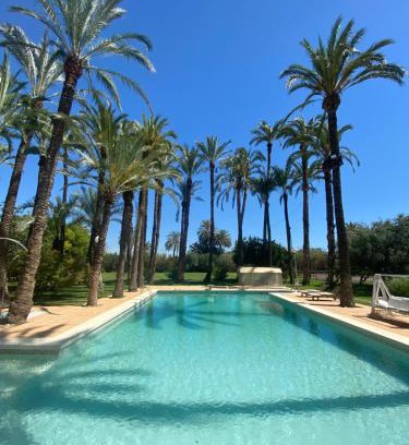 Elche Cama Y Desayuno | Pink Lemon House