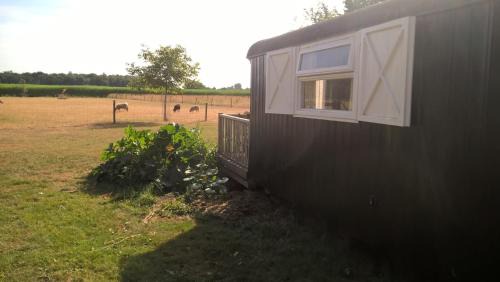 Onstwedde Cama Y Desayuno | Pipowagen Lidewei Groningen Westerwolde unieke ligging met eigen tuin en vrij uitzicht over veld naar natuurgebied