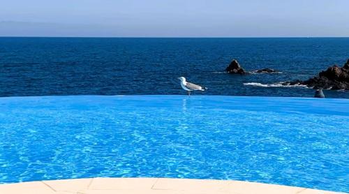 Le Trayas Apartamento | Piscine chauffée à débordement Au Cap de L'Esterel ! Entre Théoule et Saint-Raphaël