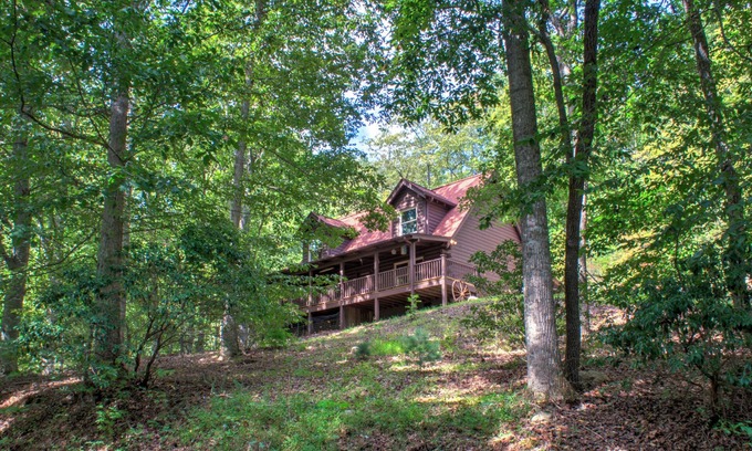 Arden Cabina | Pisgah Pines | Cozy Log Cabin w/ Hot Tub & Fire Pit Near Asheville Airport