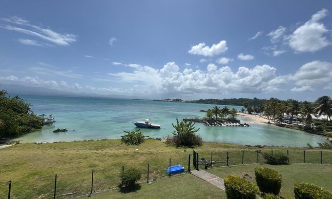 Pointe de la verdure Apartamento | Pitaya Location - Le Yucca - Studio