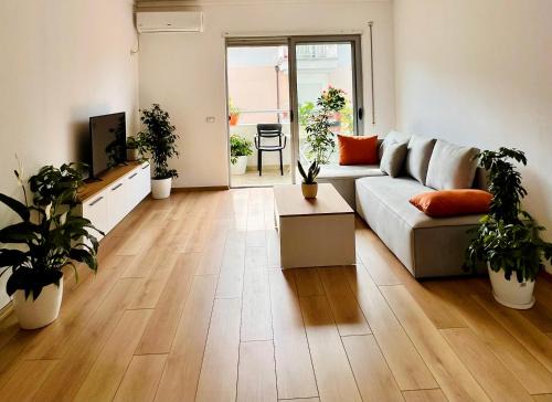 Tirana Apartamento | Plant house