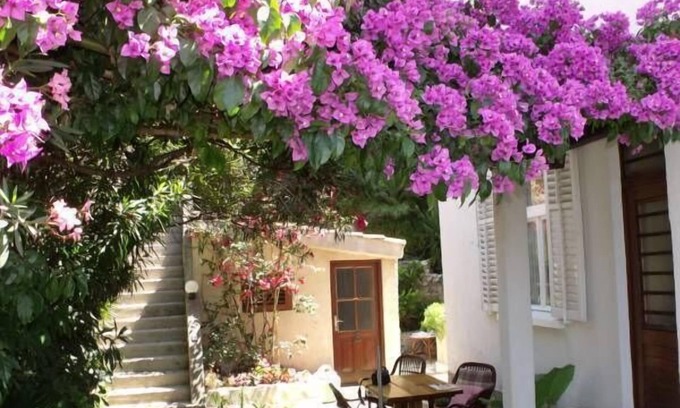 Montovjerna Apartamento | Apartamento Plavi Zal - Apartamento de una habitación con dos terrazas