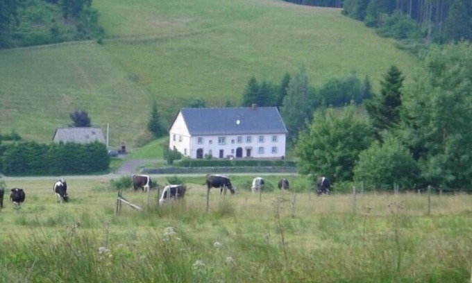 Le Bonhomme Apartamento | PLEASANT 8-PERSON APARTMENT IN A QUIET NATURAL SETTING NEAR LAC BLANC 900