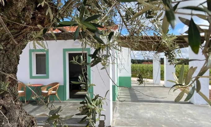 Borba Cabaña | Pleno Alentejo Rodeado de Vinhas e Junto as Cidades de Borba, Vila Viçosa e Estr