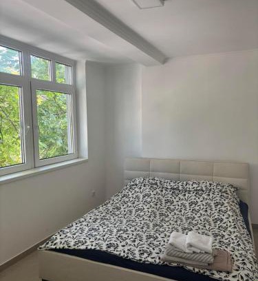 Vrsac Apartamento | Pod kestenom