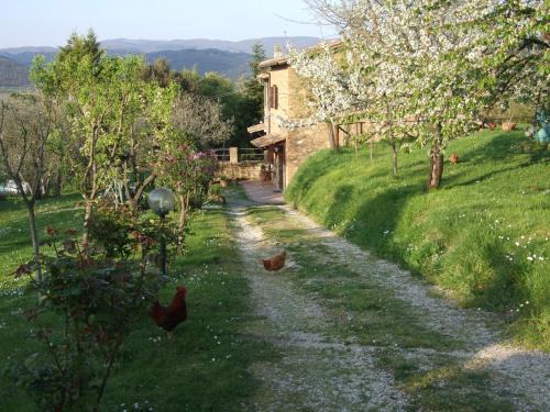Orvieto Casa | Podere La Vigna Locazione Turistica