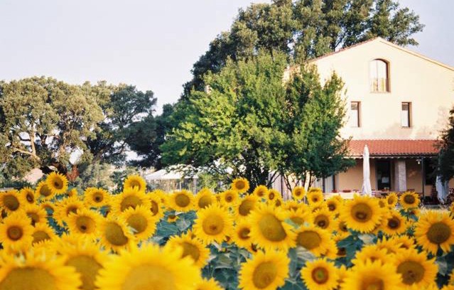 Roccastrada Casa | Podere Le Querce